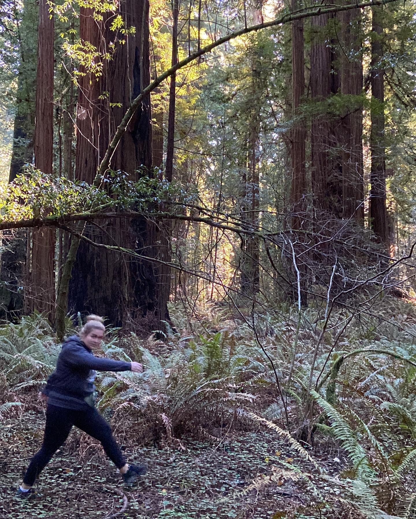 Bigfoot