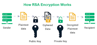 RSA encryption steps